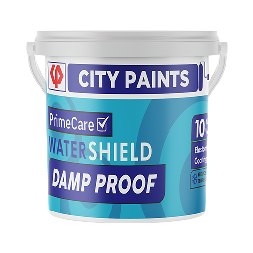 WaterShield Damp Proof